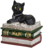 Black Cat on Books