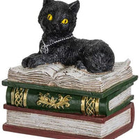 Black Cat on Books