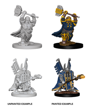 D&D: Nolzur's Marvelous Miniatures - Dwarf Male Paladin