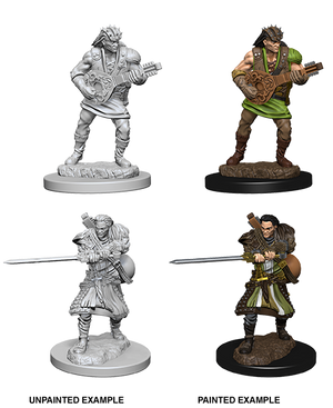 D&D: Nolzur's Marvelous Miniatures - Human Male Bard