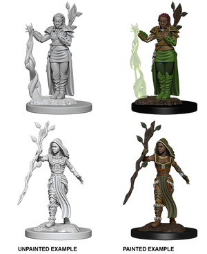 D&D: Nolzur's Marvelous Miniatures - Human Female Druid