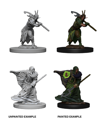 D&D: Nolzur's Marvelous Miniatures - Elf Male Druid