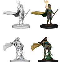 D&D: Nolzur's Marvelous Miniatures - Elf Female Druid