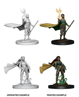 D&D: Nolzur's Marvelous Miniatures - Elf Female Druid