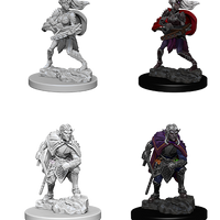 D&D: Nolzur's Marvelous Miniatures - Drow