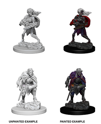 D&D: Nolzur's Marvelous Miniatures - Drow