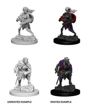 D&D: Nolzur's Marvelous Miniatures - Drow