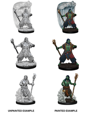 D&D: Nolzur's Marvelous Miniatures - Water Genasi Male Druid