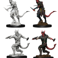 D&D: Nolzur's Marvelous Miniatures - Tiefling Male Rogue