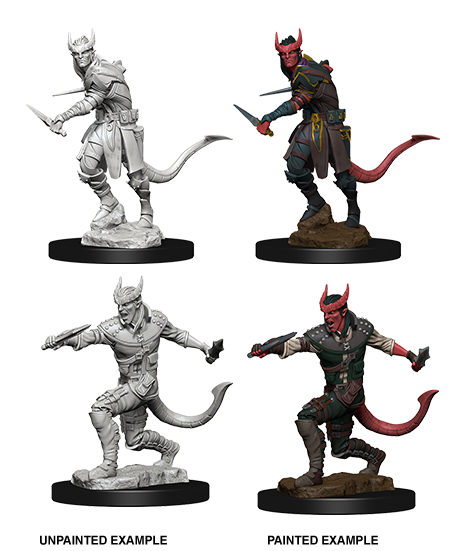 D&D: Nolzur's Marvelous Miniatures - Tiefling Male Rogue