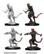 D&D: Nolzur's Marvelous Miniatures - Tiefling Male Rogue