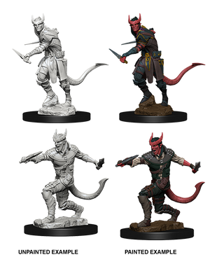 D&D: Nolzur's Marvelous Miniatures - Tiefling Male Rogue