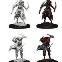 D&D: Nolzur's Marvelous Miniatures - Tiefling Female Rogue