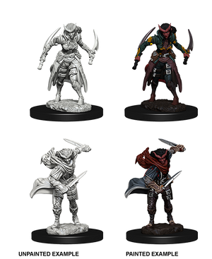 D&D: Nolzur's Marvelous Miniatures - Tiefling Female Rogue