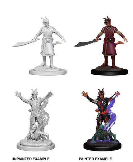 D&D: Nolzur's Marvelous Miniatures - Tiefling Male Warlock