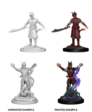 D&D: Nolzur's Marvelous Miniatures - Tiefling Male Warlock