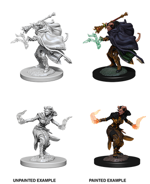 D&D: Nolzur's Marvelous Miniatures - Tiefling Female Warlock