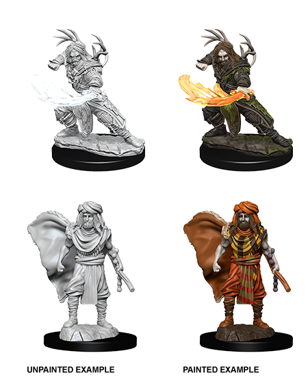 D&D: Nolzur's Marvelous Miniatures - Human Male Druid