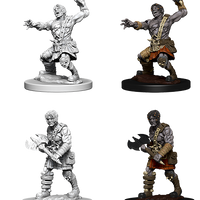 D&D: Nolzur's Marvelous Miniatures - Nameless One