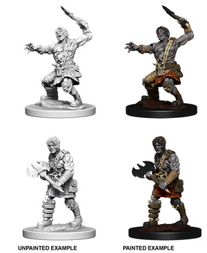 D&D: Nolzur's Marvelous Miniatures - Nameless One