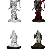 D&D: Nolzur's Marvelous Miniatures - Green Hag & Night Hag