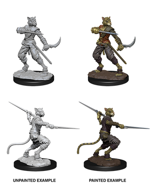 D&D: Nolzur's Marvelous Miniatures - Tabaxi Male Rogue