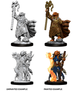 D&D: Nolzur's Marvelous Miniatures - Dragonborn Female Sorcerer