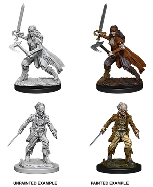 D&D: Nolzur's Marvelous Miniatures - Vampire Hunters