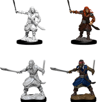 D&D: Nolzur's Marvelous Miniatures - Bandits