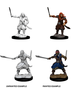 D&D: Nolzur's Marvelous Miniatures - Bandits