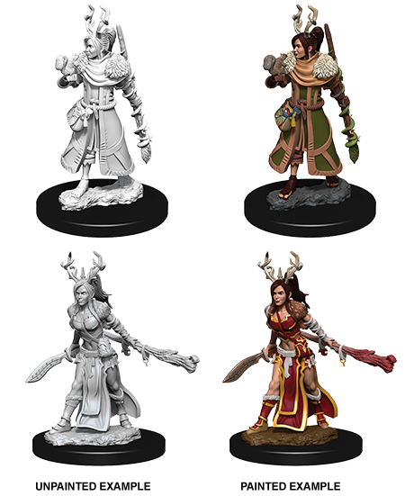 D&D: Nolzur's Marvelous Miniatures - Human Female Druid