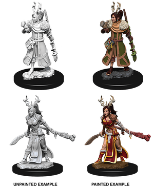 D&D: Nolzur's Marvelous Miniatures - Human Female Druid