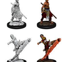 D&D: Nolzur's Marvelous Miniatures - Half-Elf Male Monk