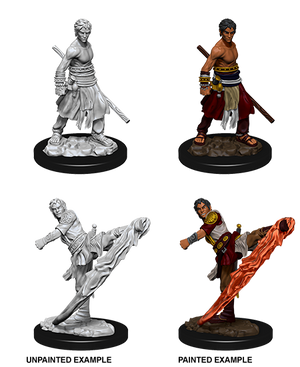 D&D: Nolzur's Marvelous Miniatures - Half-Elf Male Monk