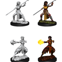 D&D: Nolzur's Marvelous Miniatures - Half-Elf Female Monk