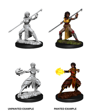 D&D: Nolzur's Marvelous Miniatures - Half-Elf Female Monk