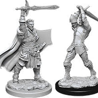 D&D: Nolzur's Marvelous Miniatures - Male Human Paladin