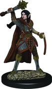 D&D: Icons of the Realms - Elf Female Cleric