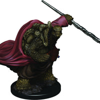 D&D: Icons of the Realms - Tortle Male Monk