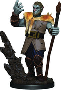 D&D: Icons of the Realms - Firbolg Male Druid