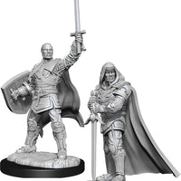 D&D: Nolzur's Marvelous Miniatures - Human Paladin Male