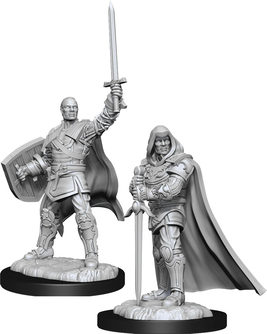 D&D: Nolzur's Marvelous Miniatures - Human Paladin Male