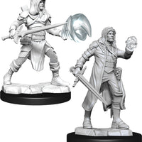 D&D: Nolzur's Marvelous Miniatures - Multiclass Fighter + Wizard Male