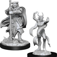 D&D: Nolzur's Marvelous Miniatures - Hobgoblin Devastator & Hobgoblin Iron Shadow