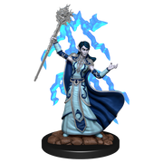 D&D: Icons of the Realms - Elf Wizard Female