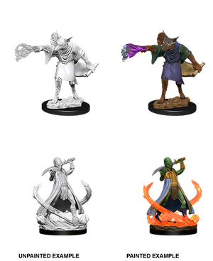 D&D: Nolzur's Marvelous Miniatures - Arcanaloth & Ultroloth