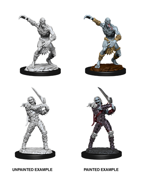 D&D: Nolzur's Marvelous Miniatures - Wight & Ghast