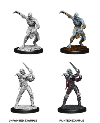 D&D: Nolzur's Marvelous Miniatures - Wight & Ghast