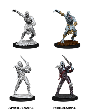 D&D: Nolzur's Marvelous Miniatures - Wight & Ghast