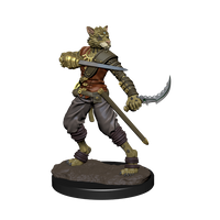 D&D: Icons of the Realms - Tabaxi Rogue Male